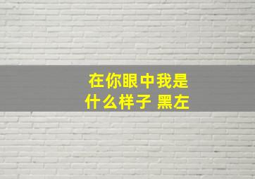 在你眼中我是什么样子 黑左